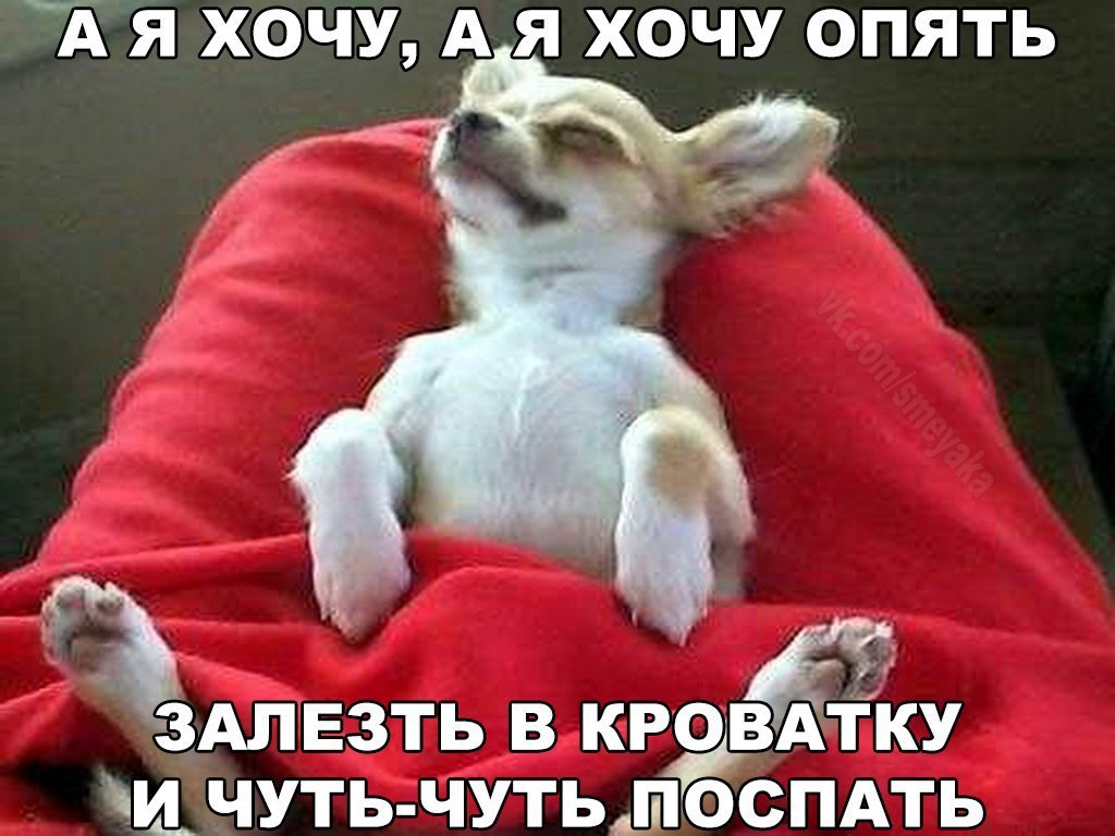    :D - 9  2016  03:02
