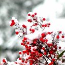 ���� Liudmila, �������, 70 ��� - ��������� 21 ������� 2016 � ������ ������ ��������