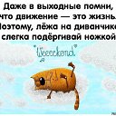 ���� �������, ������, 54 ���� - ��������� 5 ������� 2017 � ������ ������ ��������