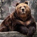 ���� ����, �������� - ��������� 23 ������� 2016 � ������ ���� ����������