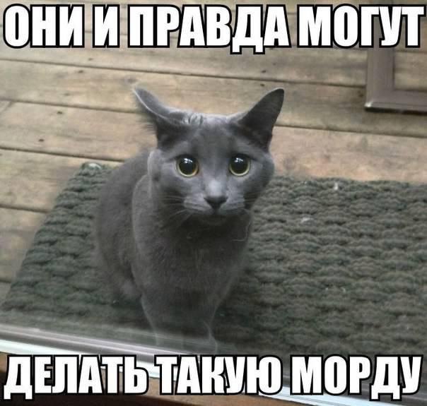    - 12  2016  11:18
