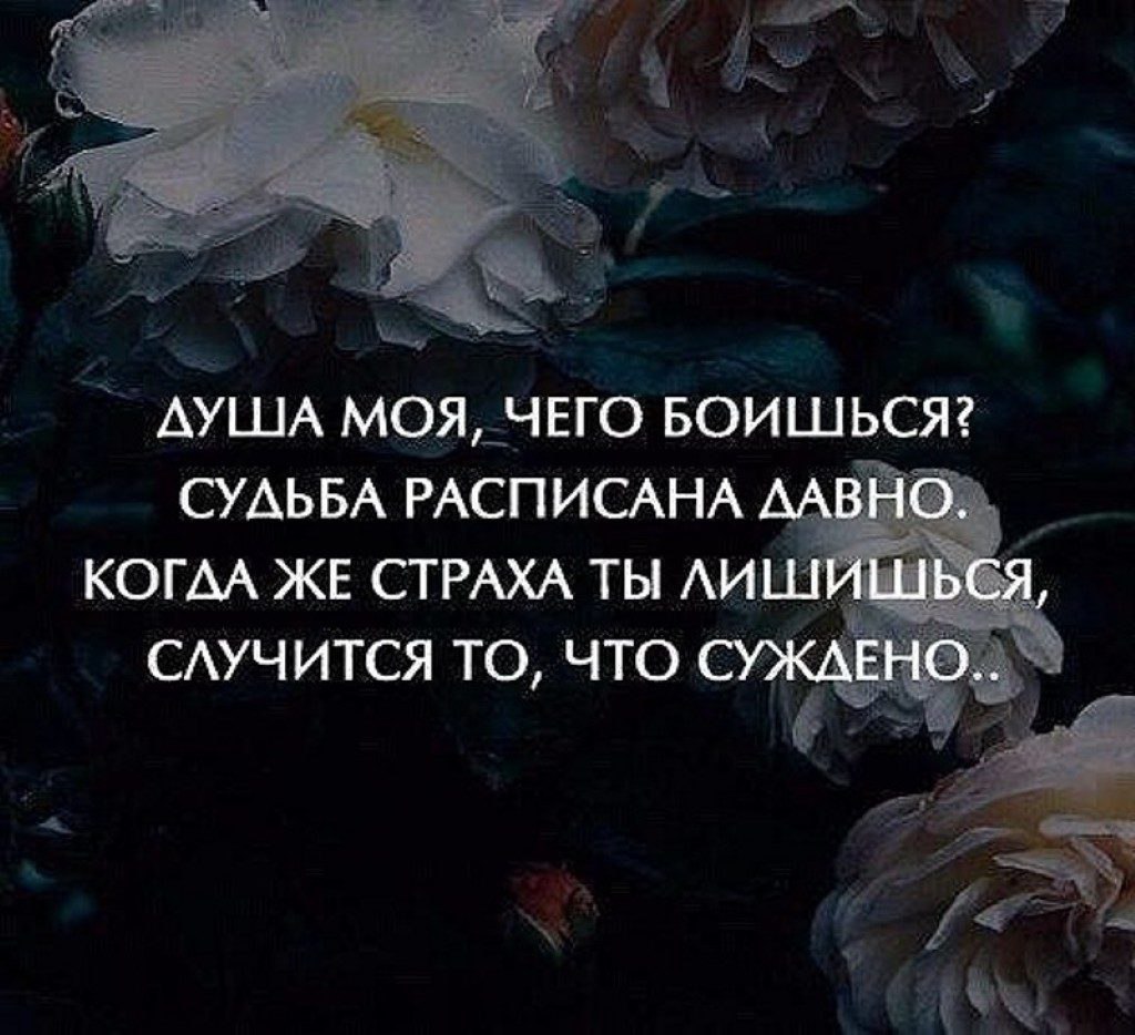 .https://fotostrana.ru/away?to=/sl/kxC2 - 30  2016  12:18