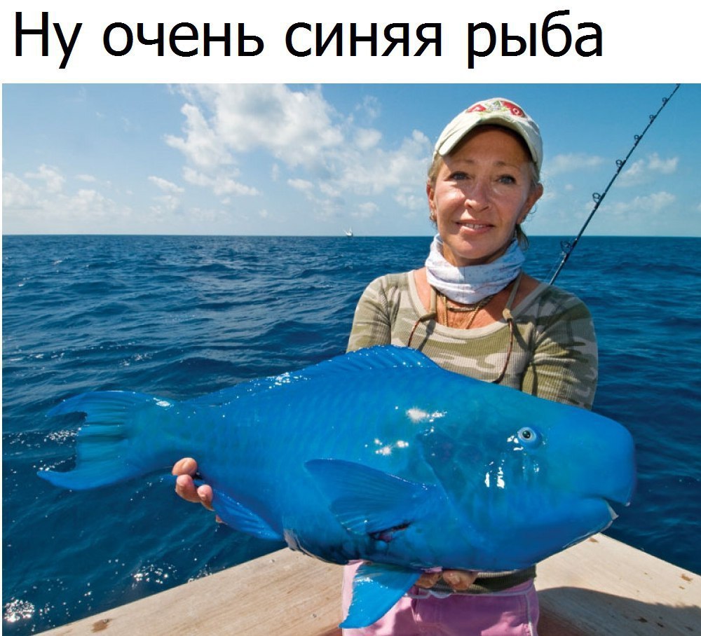  - 25  2016  02:31