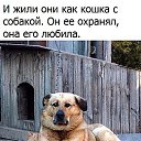 ���� �������, ���� - ��������� 11 ������� 2016 � ������ ������ ��������