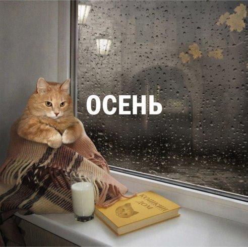   - 1  2016  21:13