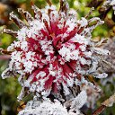 ���� �����, �����, 64 ���� - ��������� 22 ������� 2016 � ������ ������� ���������