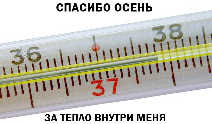   - 26  2016  20:18
