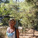 ���� �����, ������, 57 ��� - ��������� 24 �������� 2016 � ������ ���� ����������