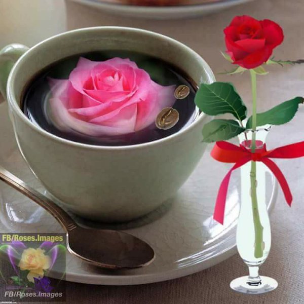 Р. С добрым утром милые друзья! Радости, тепла Вам, нежности, солнышка за окошком и в душе!