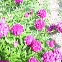 ���� Yusoup, ������, 70 ��� - ��������� 1 ������ 2017 � ������ ���� ����������