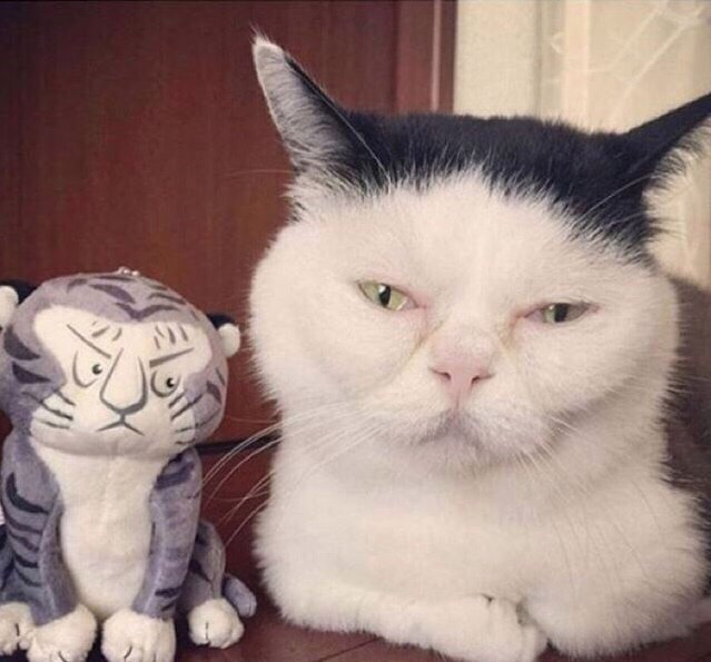 :   