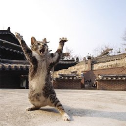 Edgar, �������, 27 ���