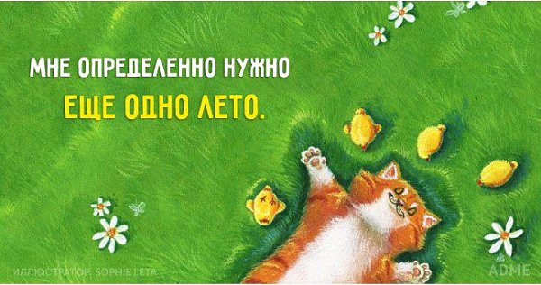  - 11  2016  20:58