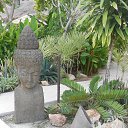    -  ,  -  6  2016    2014.  11.  lawana ( )