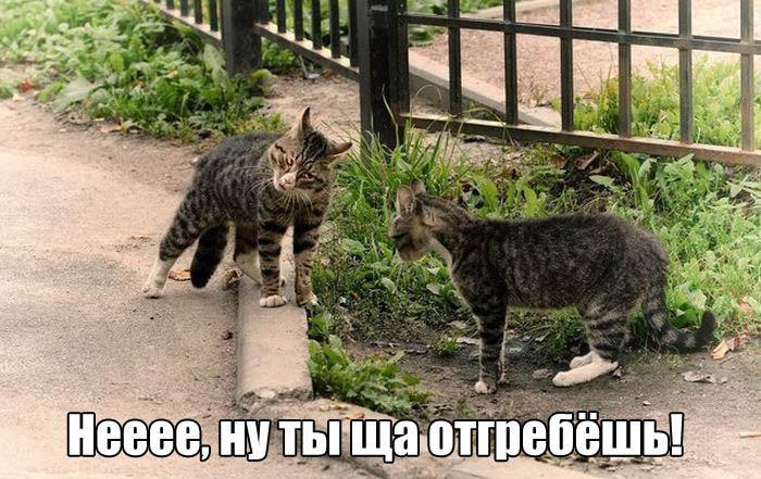    :D - 27  2016  18:17