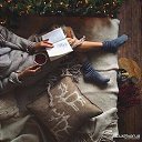 ���� ���, �������� - ��������� 19 ������ 2017 � ������ ���� ����������