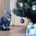 � � ��� ��� ��������� �� ������� ���� �����-��-��