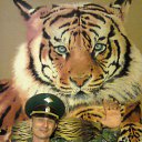 ���� ��������� ����������, ������, 46 ��� - ��������� 4 ������ 2017 � ������ ���� ����������