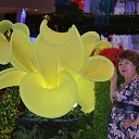 ���� ������, ����� - ��������� 28 ������� 2016 � ������ ������ ��������