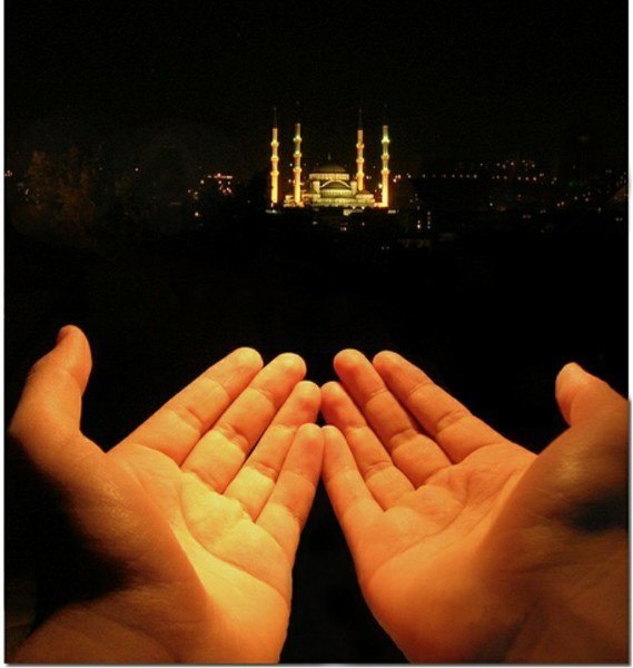 счастья есть....... - 8 января 2017 в 02:39