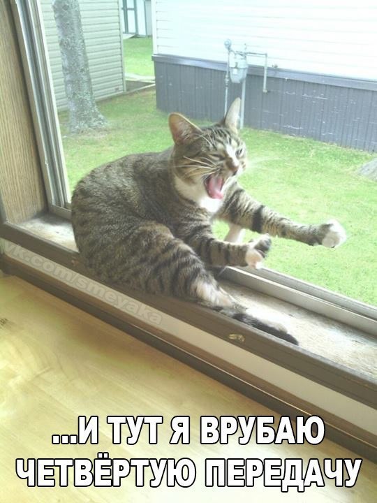    :D - 17  2016  04:38