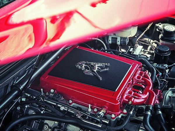 Equus Bass 770 - ������ Mustang ��-������ - 7