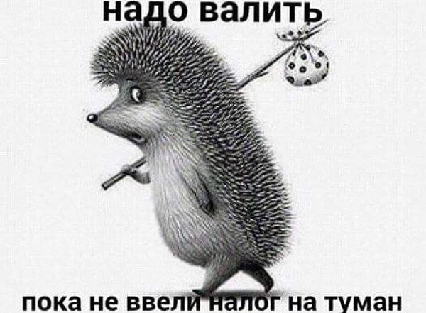  - 2  2017  17:09 - 4