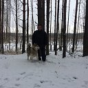 ���� �����__, ������ - ��������� 11 ������ 2016
