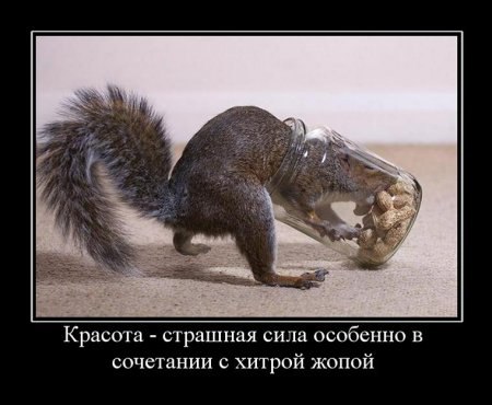 -         ...