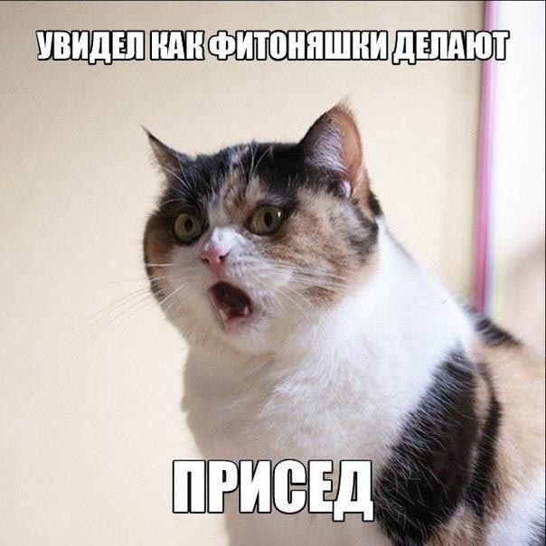  -   - 26  2016  23:41