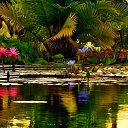 ���� ��������, �����-��������� - ��������� 23 ����� 2017 � ������ ������ ��������