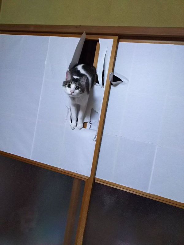        ,     ,      ...