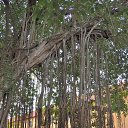 ���� ����, ������������, 59 ��� - ��������� 15 ����� 2017 � ������ ���� ����� 2017�