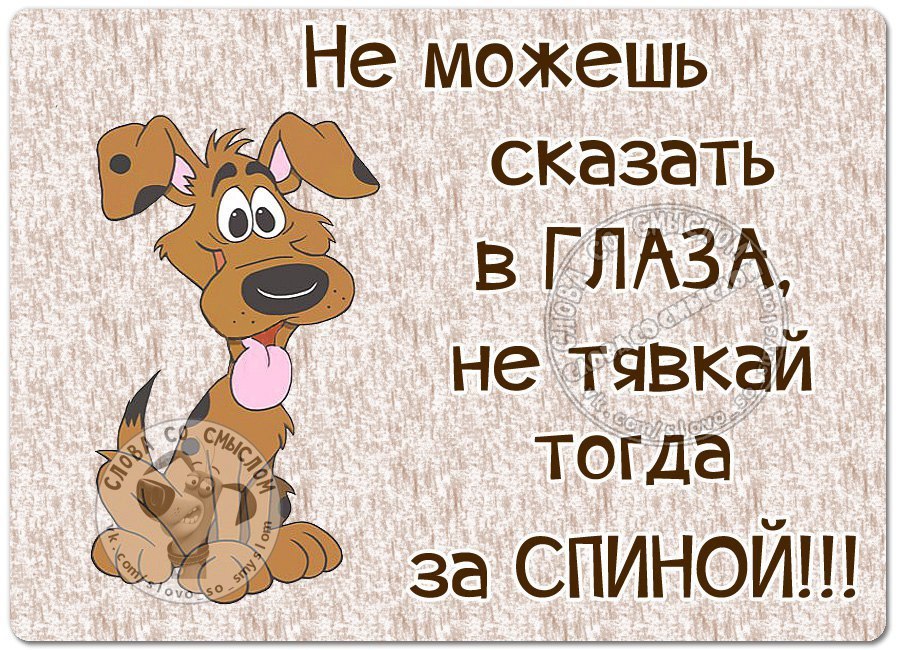  - 9  2016  13:53