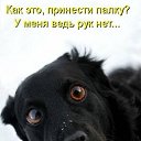 ���� Konstantine, ���������, 42 ���� - ��������� 4 ������� 2016 � ������ ������ ��������