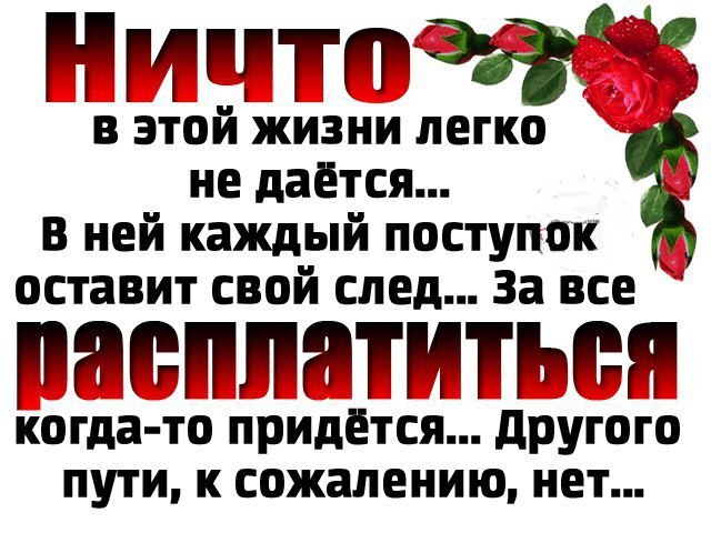  - 29  2016  16:35