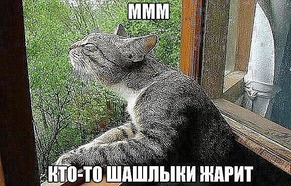 Ужин в семье 3-х медведей. Отец -