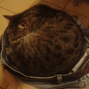 Mihail, 50 ���, ������