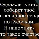 ���� �����, ������ - ��������� 4 ������ 2016 � ������ ������ ��������