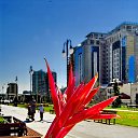  ,  -  20  2016        ͻ