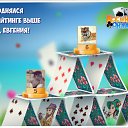  Amba 25rus,  -  4  2017    -