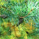 ���� �������, ��������, 47 ��� - ��������� 2 ������� 2016 � ������ ���� ����������