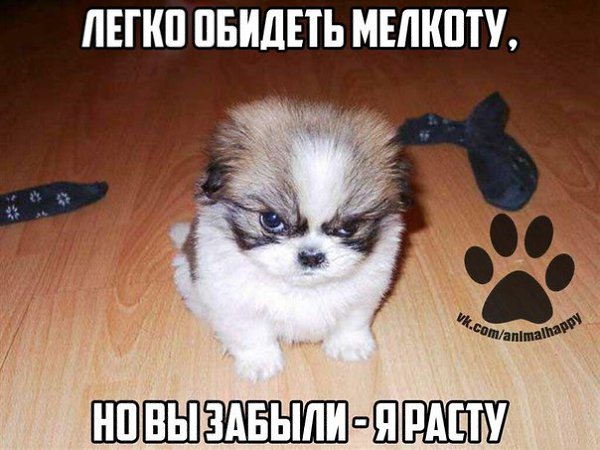    - 5  2017  18:16