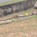 ���� ����, ������������, 59 ��� - ��������� 15 ����� 2017 � ������ ���� ����� 2017�