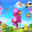     (),  , 24  -  14  2017    -