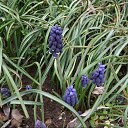 ���� �������, ������� - ��������� 5 ������ 2017 � ������ ������ 2017�