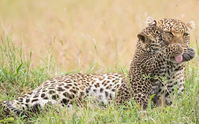  : Margot Raggett