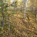 ���� �������, ��������, 53 ���� - ��������� 17 �������� 2016 � ������ �������� ��� .�