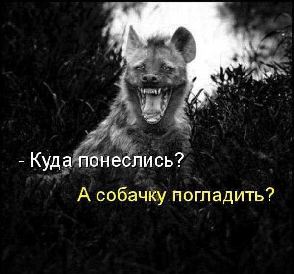    - 27  2016  14:20