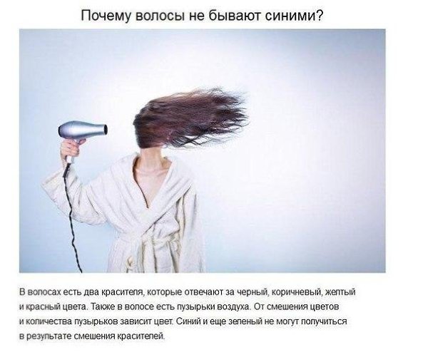 Ответы на детские вопросы, от которых «взрывается» мозг - 4